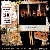 20 Anos na Estrada, Vol.1 (Gravado ao Vivo em São Paulo) artwork