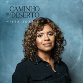 Caminho no Deserto artwork