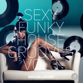 Sexy Funky House Grooves Vol.3 artwork