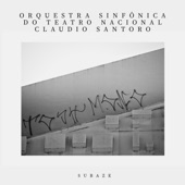 Orquestra Sinfônica do Teatro Nacional Claudio Santoro artwork