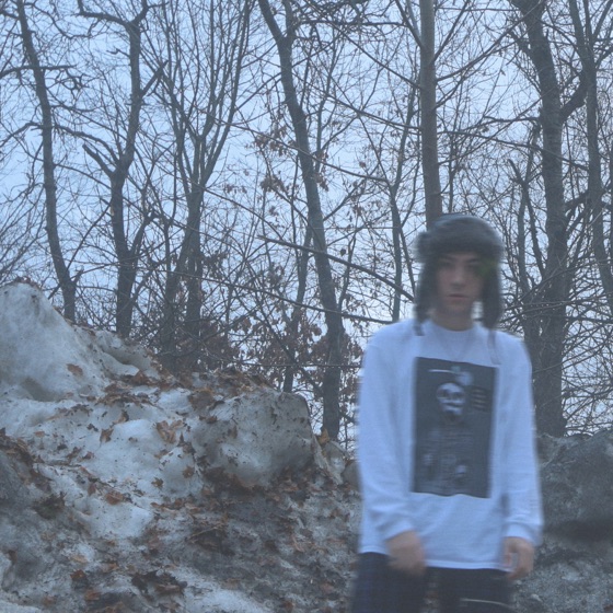 Cover artwork for Snowflakes