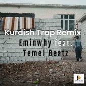 Kurdish Trap (Remix) artwork