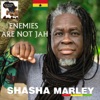 Enemies Are Not Jah - Single