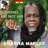 Enemies Are Not Jah - Single, 2021