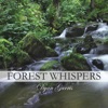 Forest Whispers (feat. Sherry Finzer) - Single