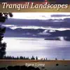 Tranquil Landscapes album lyrics, reviews, download