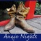 Anejo Nights - Single