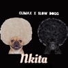 Nkita - Single (feat. Slow Dogg) - Single