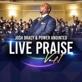 Blessed Be the Name (Live) by Josh Bracy