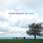 Eleventh Dream Day - A Case to Carry On