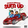 Sum Up (feat. Zelltootrill) - Single album lyrics, reviews, download