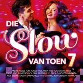 Die Slow Van Toen, Vol. 7 artwork