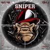 Sinab (feat. Ali Owj) - Sniper