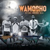 Wamocho (feat. Richy Haniel & Mejja) - Single