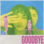 Yasmin Hass Sinclair - Goodbye