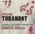 Puccini: Turandot album cover