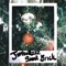Saint Brick - JimBallzzz lyrics