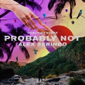 Probably Not (Dualities Remix) artwork