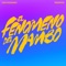 El Fenómeno del Mambo artwork