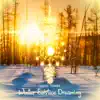 Winter Solstice Dreaming (Live) - EP album lyrics, reviews, download