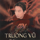 Ơn cha mẹ - Trường Vũ