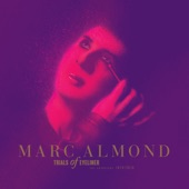 Marc Almond - Something's Gotten Hold of My Heart