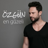 En Güzeli artwork