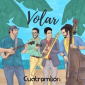 Volar artwork