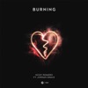 Nicky Romero - Burning