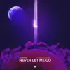 Never Let Me Go (feat. Jessica Williams) - Single album lyrics, reviews, download