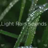 Rain to Fall Asleep song lyrics
