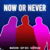 Now or Never (feat. Mar$hin, Dep BCS & Gothreau) - Single album lyrics, reviews, download