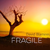 David Blamires - Fragile