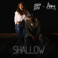 Jimmie Allen & Abby Anderson - Shallow artwork