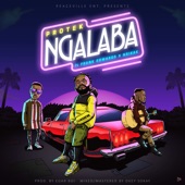 Ngalaba (feat. Frank Edwards & Nsikak) artwork