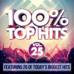 100% Top Hits, Vol. 25 by Various Artists album reviews, ratings, credits