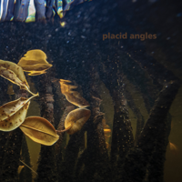 Placid Angles - Touch the Earth artwork