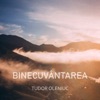 Binecuvântarea - Single