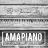 Amapiano Appreciation Mix - DJ Tannie_swiss