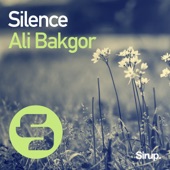 Silence artwork