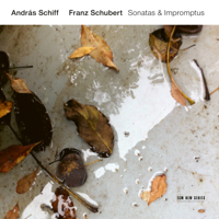 András Schiff - Franz Schubert: Sonatas & Impromptus artwork