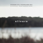 Slivers - Federico Ferrandina & Hannah Featherstone