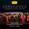Serenade for String Orchestra in C Major, Op. 48, TH 48: I. Pezzo in forma di sonatina. Andante non troppo - Allegro moderato artwork