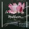Libertad Maestro - Transforma Tu Vida