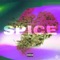 Spices - 441Guttah lyrics