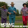 Mosaic - That Don't Impress Me Much