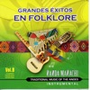 Grandes Éxitos en Folklore, Vol. 9
