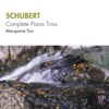 Macquarie Trio - Piano Trio No. 2 In E Flat Major, Op.100 D.929: 4. Allegro moderato