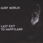 Gurf Morlix - One More Second