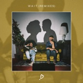 Wait (Fkya Remix) artwork
